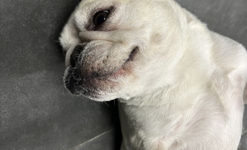 JJ Dental Cosmetic Dentistry 30 NE 3rd St, Fort Lauderdale Florida 33301