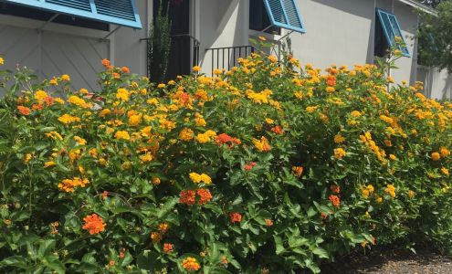 Benjamin N Diller, DDS 1200 S 14th St, Fernandina Beach Florida 32034