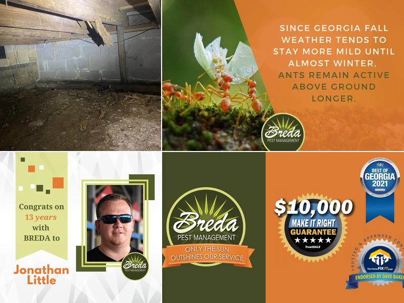 Breda Pest Management