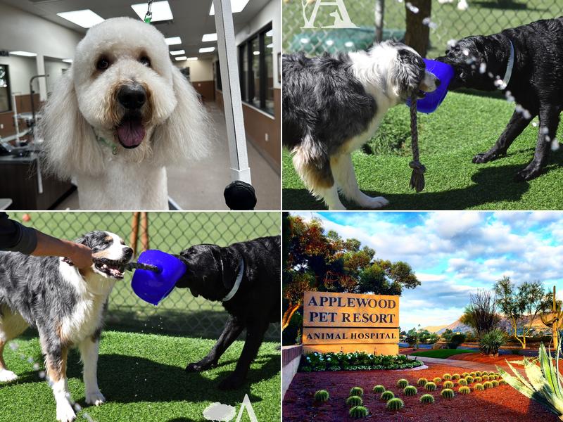 Applewood Pet Resort
