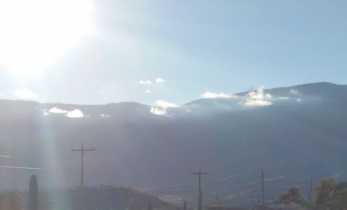 Arizona Bug Co 1146 S 10th St, Cottonwood Arizona 86326