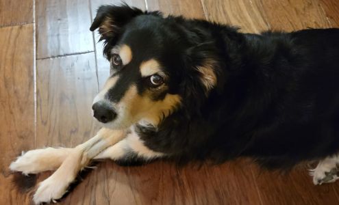 Pet Partners 476404 E 1125 Rd, Muldrow Oklahoma 74948