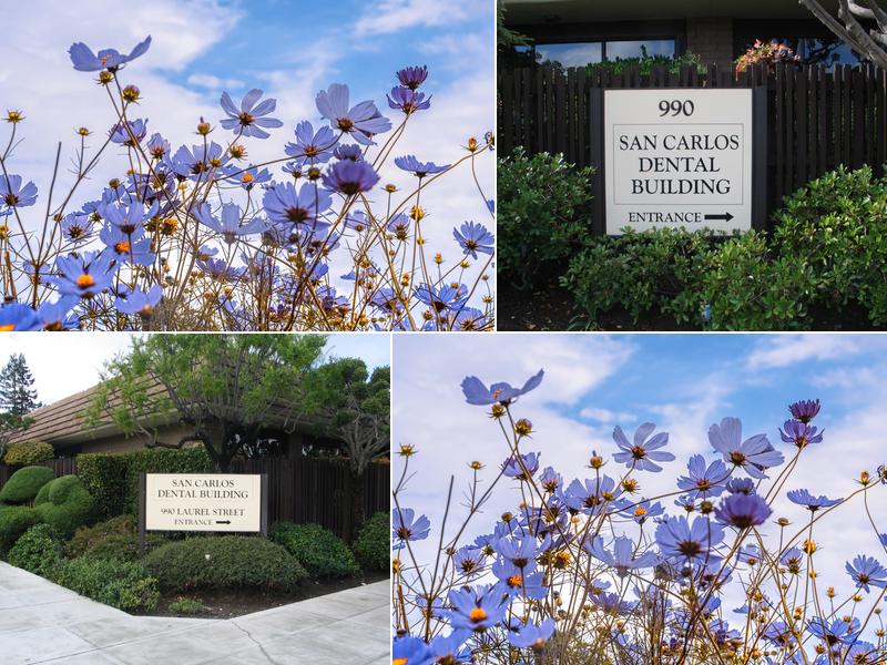 Terence G Clancy DDS