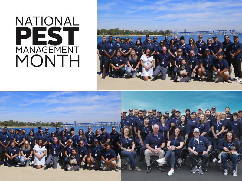 Thrasher Pest Control