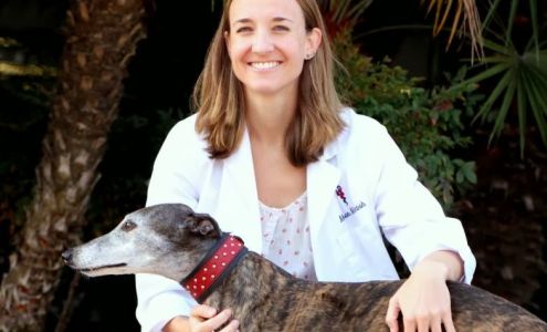 Dr. Meghan McIntosh, VMD, at Rancho Santa Fe Veterinary Hospital of Solana Beach Solana Beach