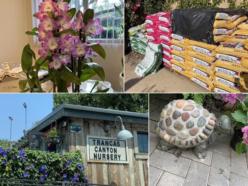 Trancas Canyon Nursery | Best Nursery in Malibu