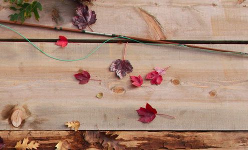 Collins Lake Browns Valley