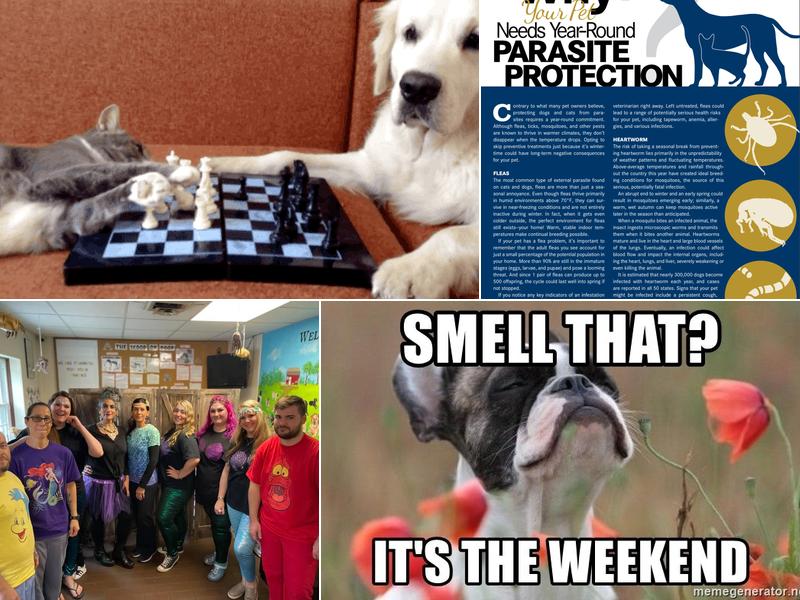 Oxford Veterinary Hospital: Reynolds Marc C DVM