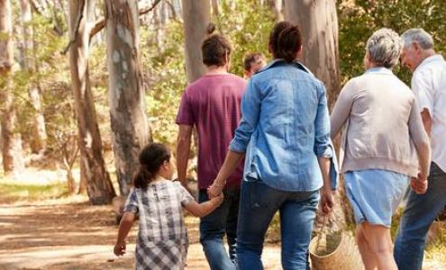 Mountain View Medical Group