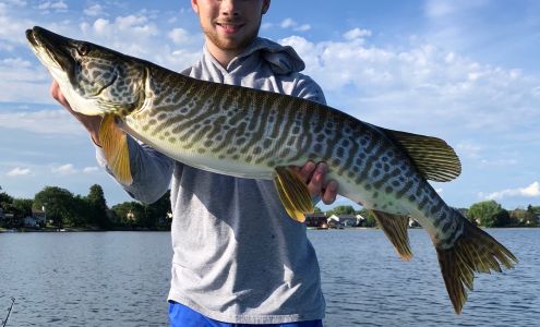 Affiliated Dental Specialists