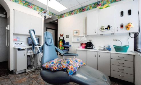 Glen Ellyn Pediatric Dentistry 45 S Park Blvd #105, Glen Ellyn Illinois 60137