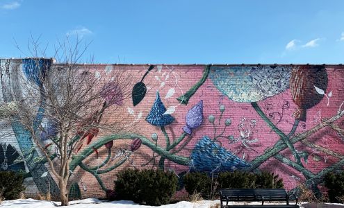 Primary Care Associates