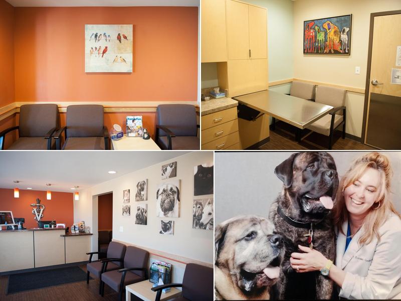 Wright Animal Hospital: Junkas Kristin DVM