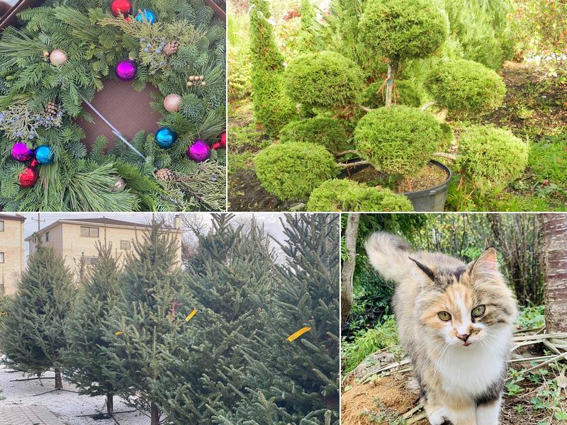 Graff Gardens & Farm