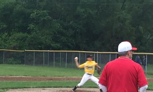 Gerbers Schlegel Insurance