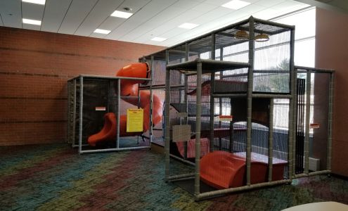 Muscatine Community YMCA