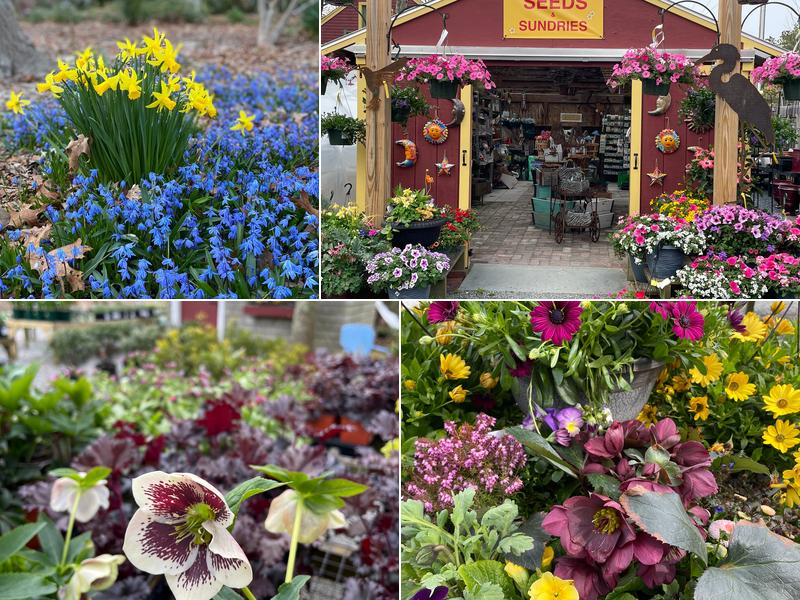 M.R. Soares Flower Garden Nursery
