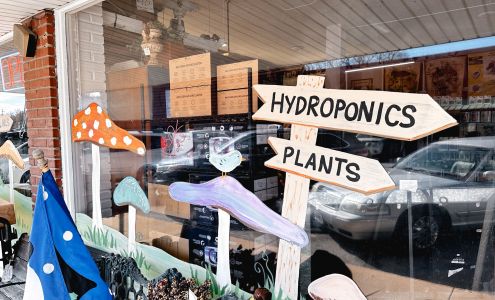 The Country Sunshine & White Walker Mushroom