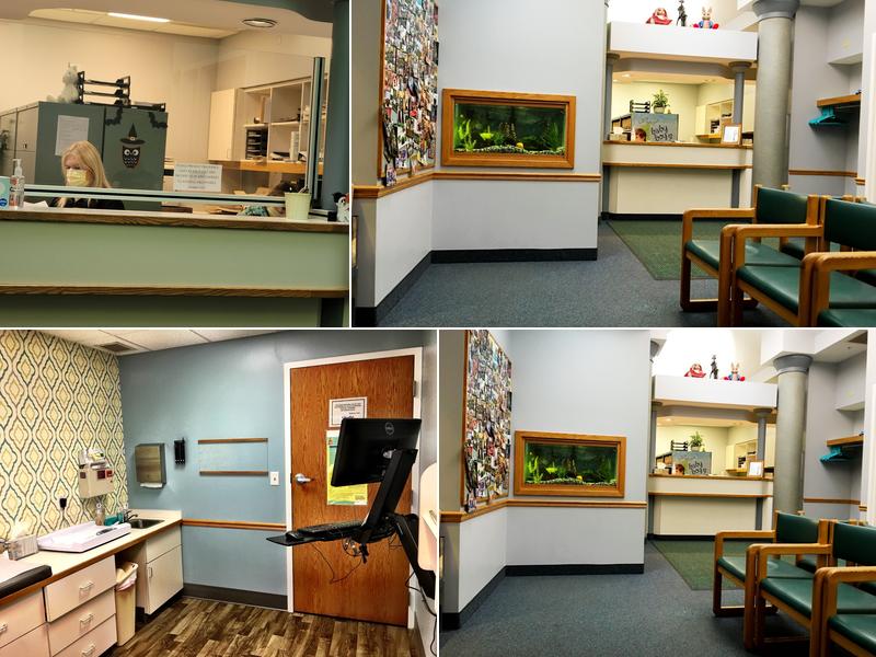 St Joseph Pediatric - Ami P Shah MD