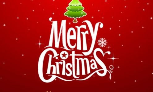 MIGHTY MIKES PEST CONTROL 309 Tulip Ln, Freehold New Jersey 07728