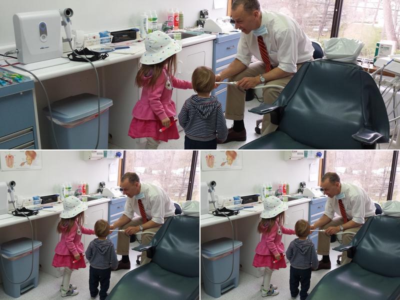 Stephen P. Rounds DMD