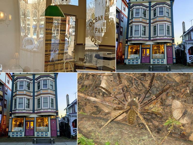 Ocean Grove Family Dentistry