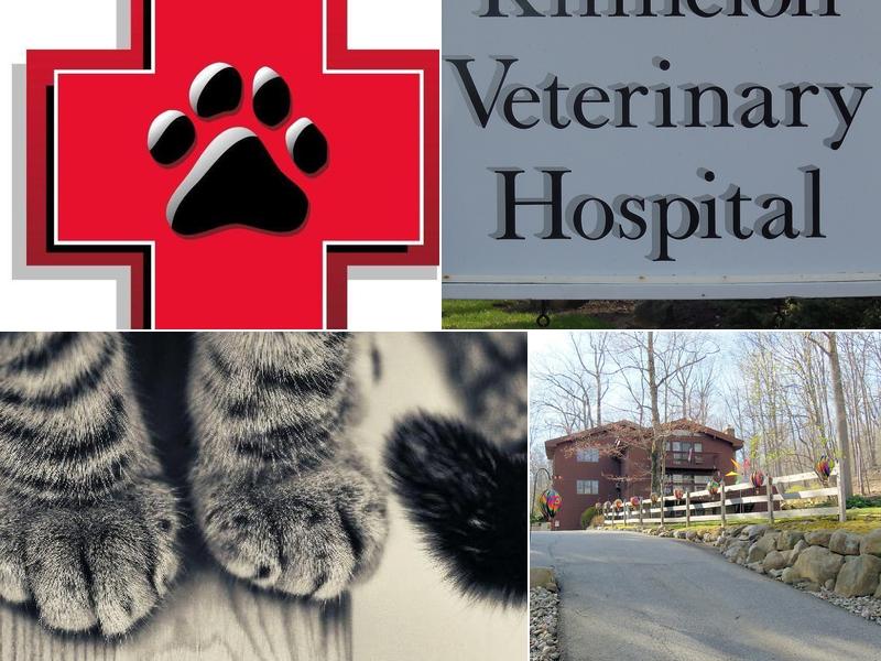 Kinnelon Veterinary Hospital