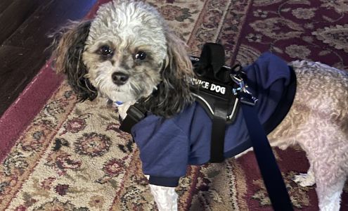 Sierra Pet Hotel & Spa