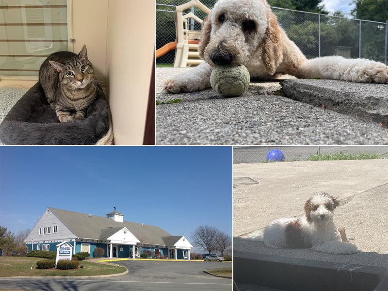 Ani-Mall Pet Hospital