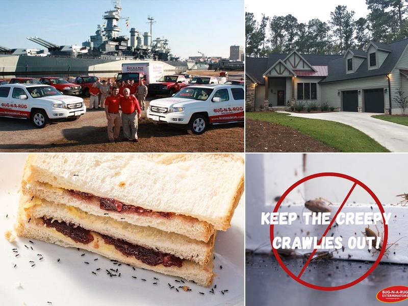 Bug-N-A-Rug Exterminators