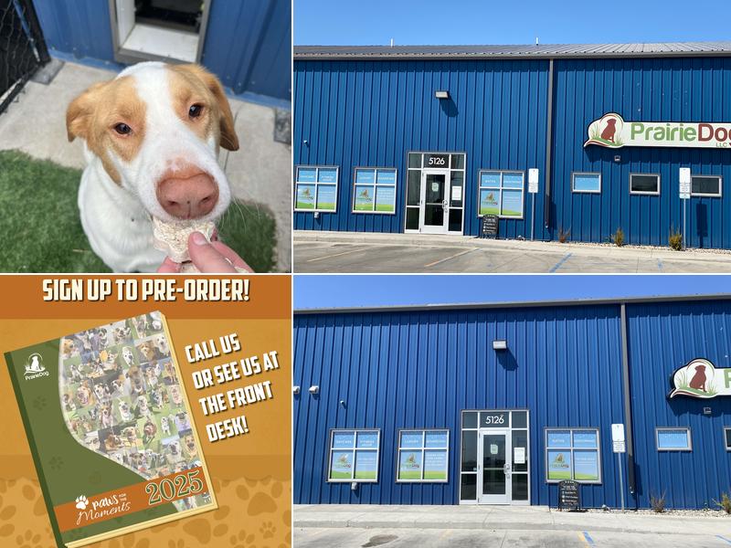 Prairie Dog Daycare, Obedience Training, Grooming and Boarding