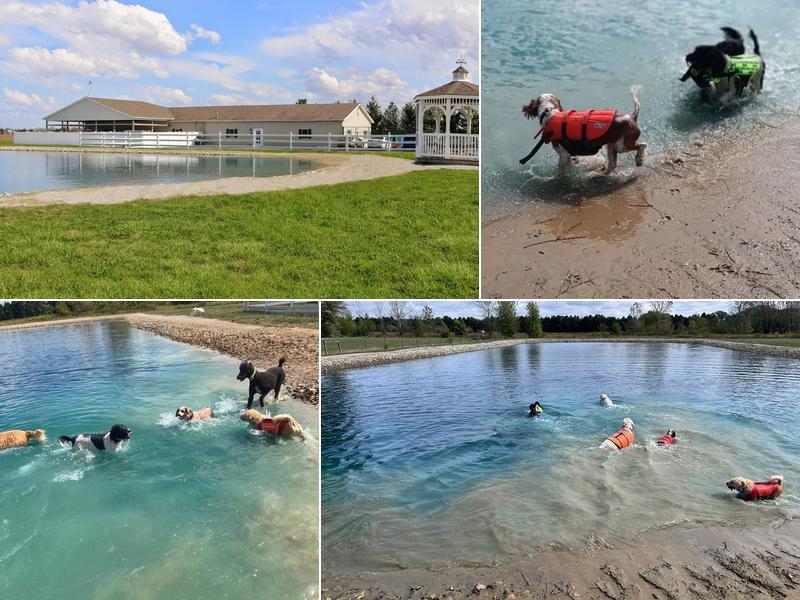 Gold Star Pet Resort Inc