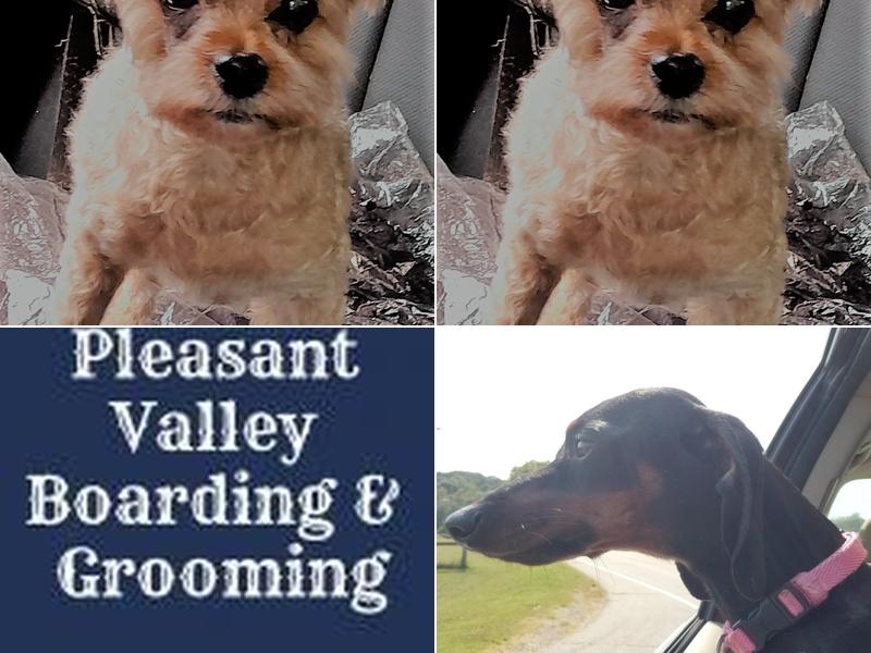 Pleasant Valley Boarding-Groom