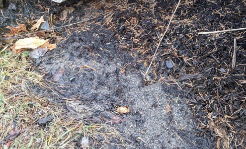 WinnScapes Inc/Schmidt Nursery