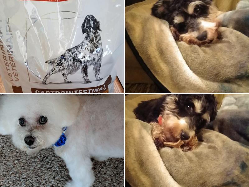 Just A Cut Above The Rest