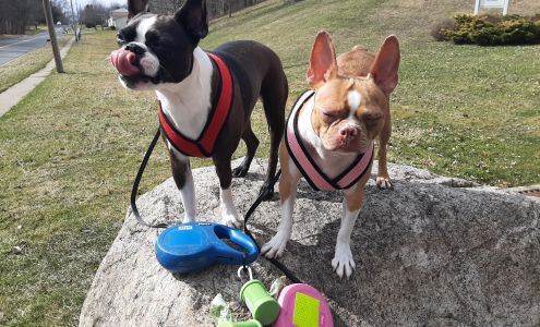 Grand Paws Pet Salon