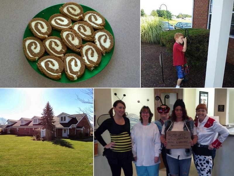 Hammermeister Nicholas DDS