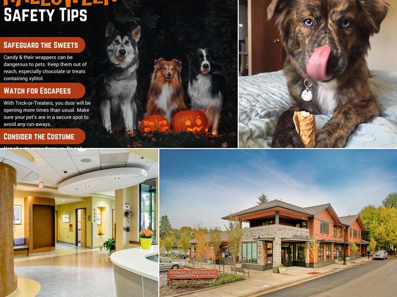 Animal Care Group of Lake Oswego