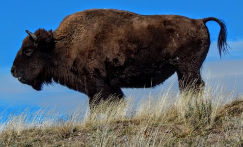 Select Care Dental Redmond