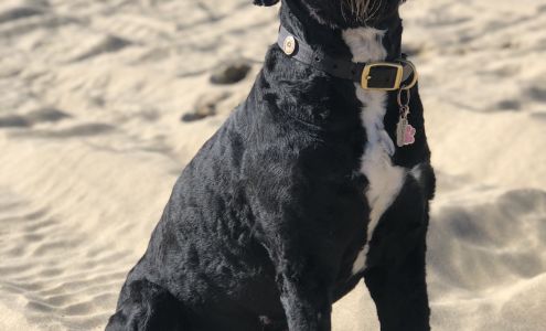 Three Rivers Grooming