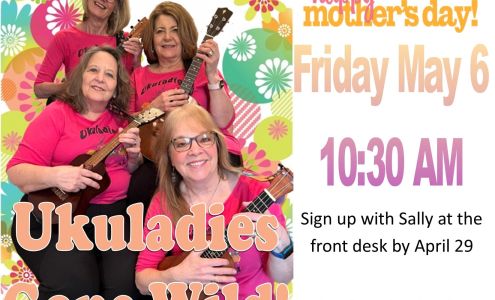 Challenges-Options In Aging