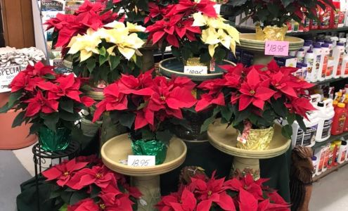 Westwood Garden Haven