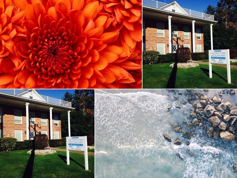 Hayek Gabriel Dr Inc