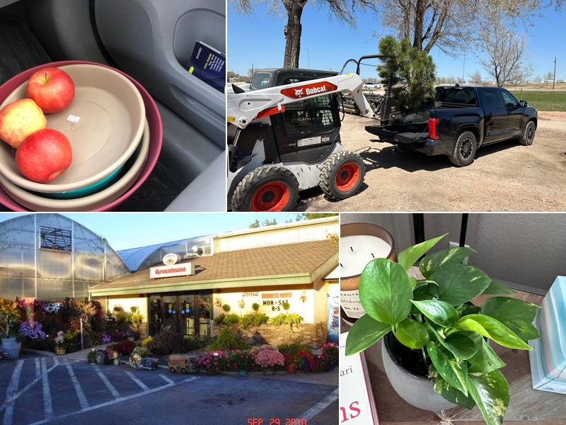 Jolly Lane Greenhouse