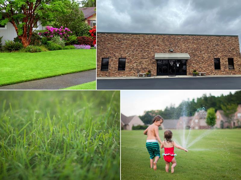 BeautyLawn Spray, Inc.