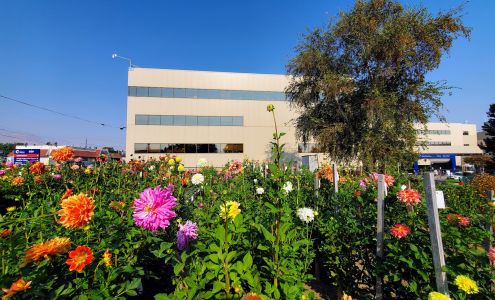 Confluence Health | Mares Campus