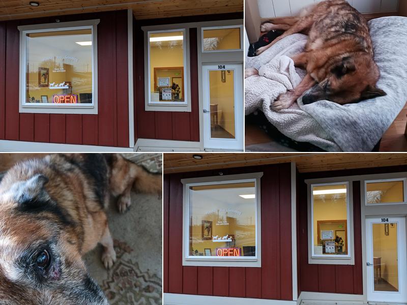 Mountain Way Grooming