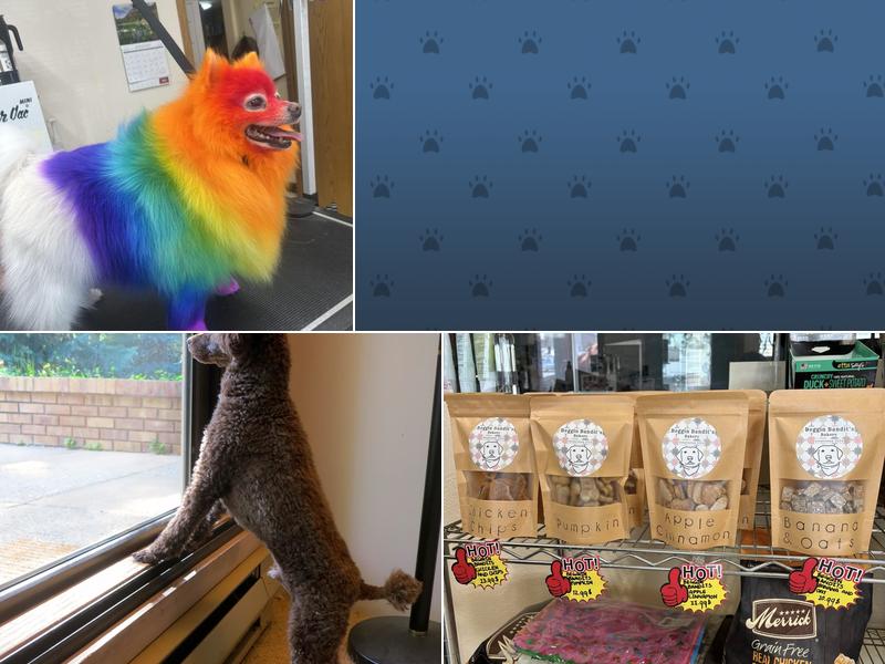 Chico's Grooming Spa