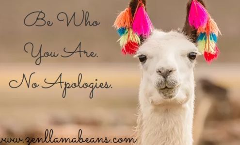 ZLB Astrology & Tarot Holiday Island