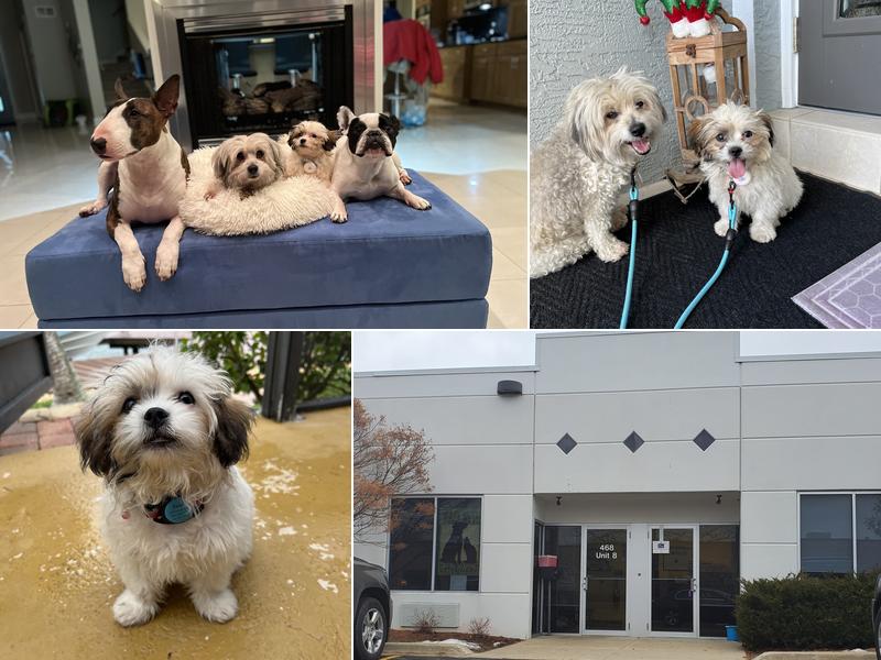 Blackwell Mobile Vet Services